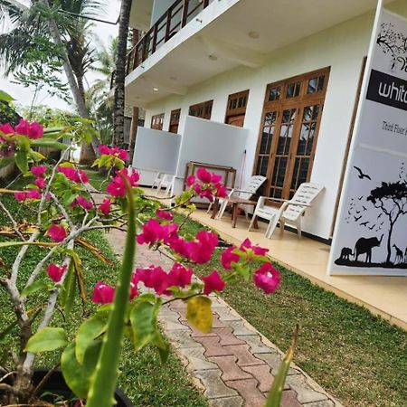 White Lion Paradise Dikwella Batigama Kültér fotó