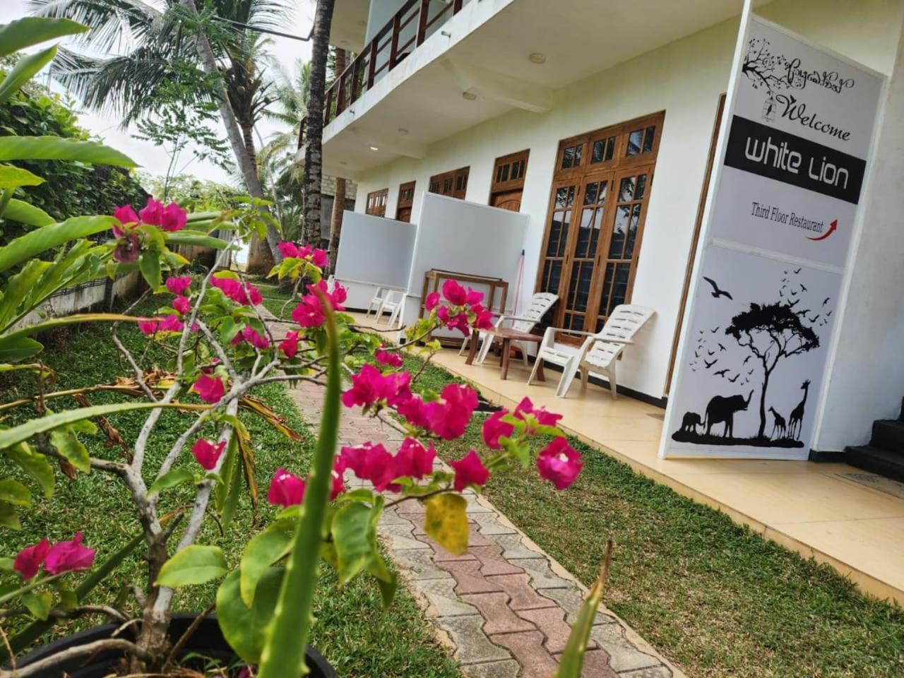 White Lion Paradise Dikwella Batigama Kültér fotó